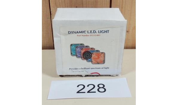 Dynamic 22 LED Lihgt fabr. Dimension one Spa’s type 01512-003
